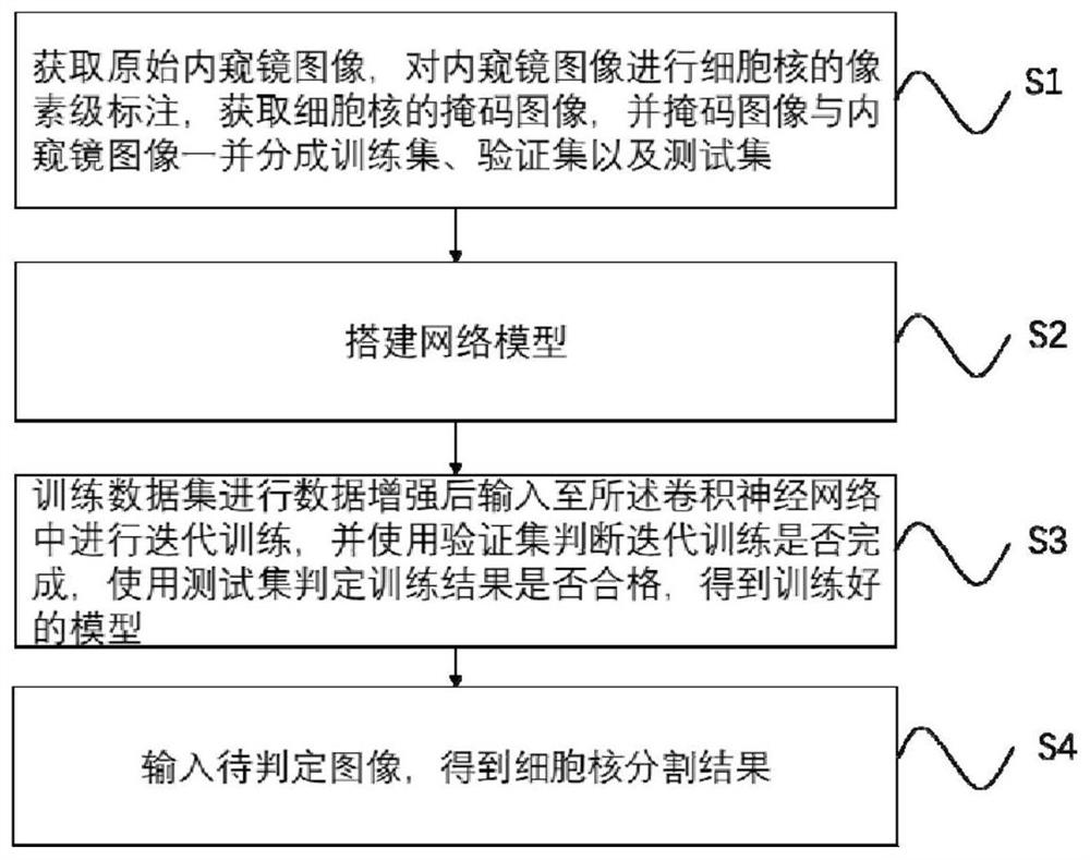 High-resolution microscopic endoscope image cell nucleus segmentation method based on deep learning