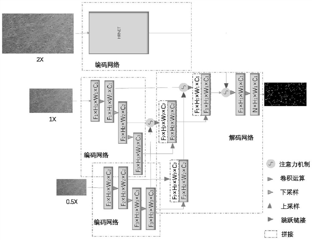 High-resolution microscopic endoscope image cell nucleus segmentation method based on deep learning