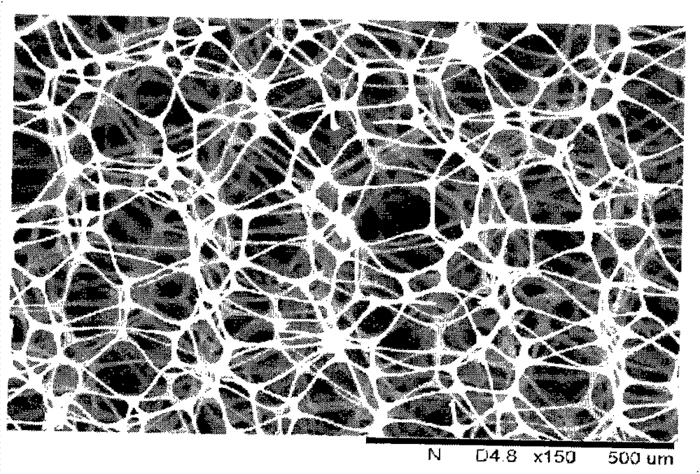 Ionized backbone polymer capable of removing particulate pollution and preparation method thereof