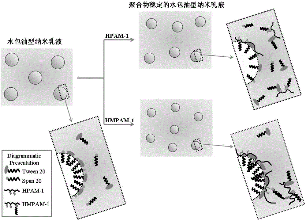 Preparation method for nano-emulsion with stable polymers