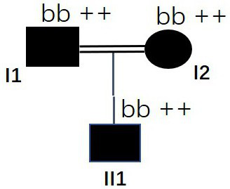 MSH6 gene with mutated 12907th site, and application of MSH6 gene