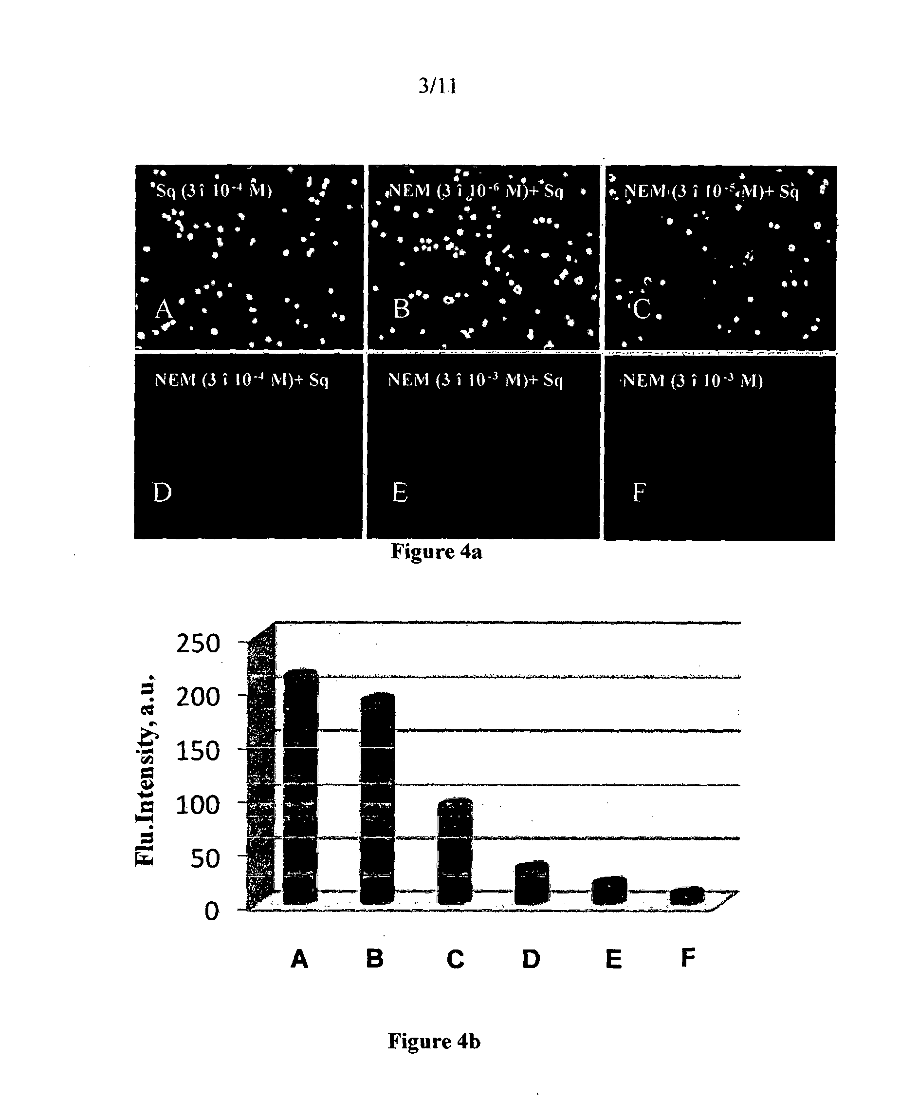 Squaraine based fluorescent probe and a process for the preparation thereof