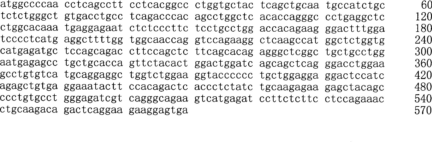 Artificial synthetic porcine interferon and method for preparing porcine interferon