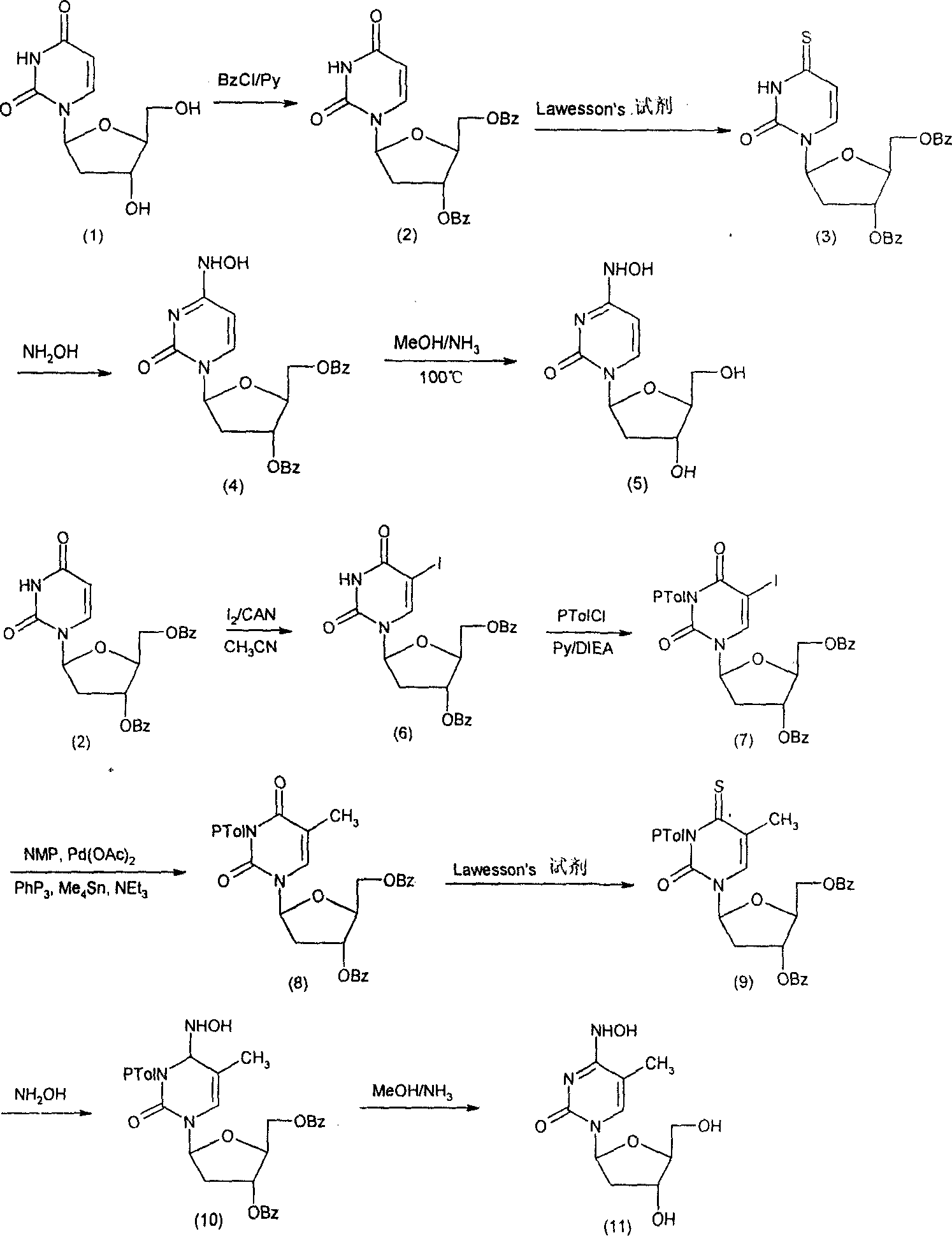 Beta-2'-deoxygenation-ramification of nucleotide, synthetic method and application of medication