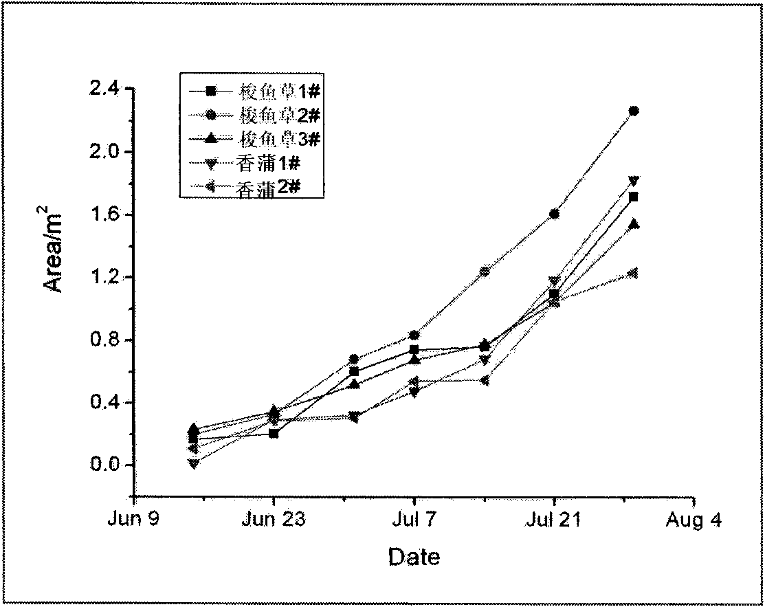 Image-technique-based artificial wetland plant growth information extracting method