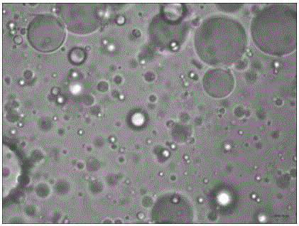 Nicotinamide microcapsule and preparation method thereof