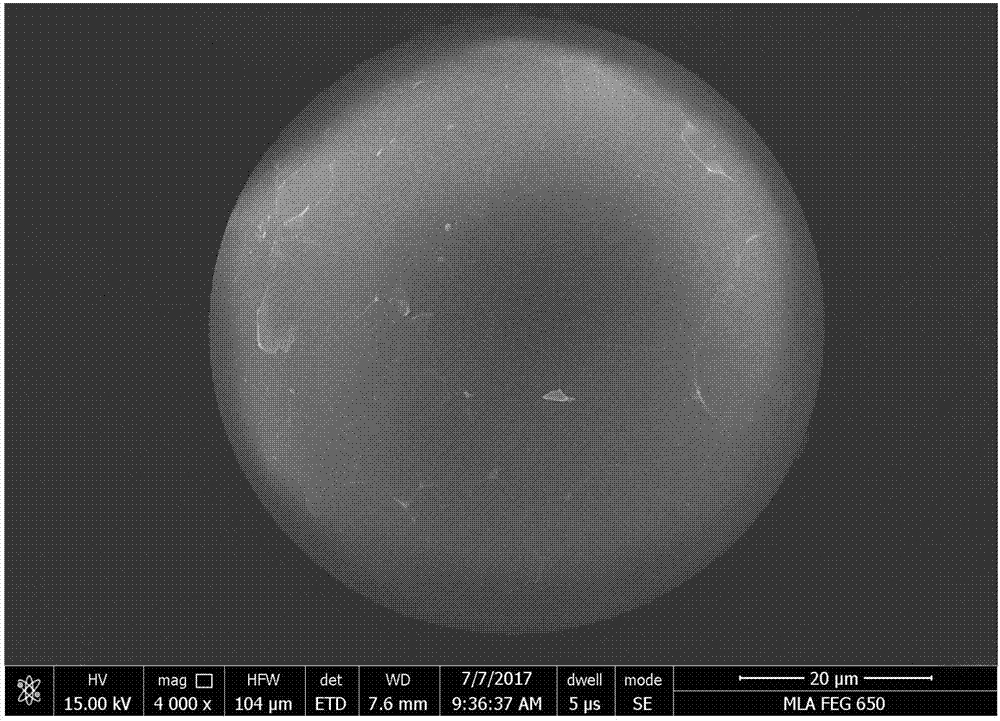 Preparation method for hollow Janus particles