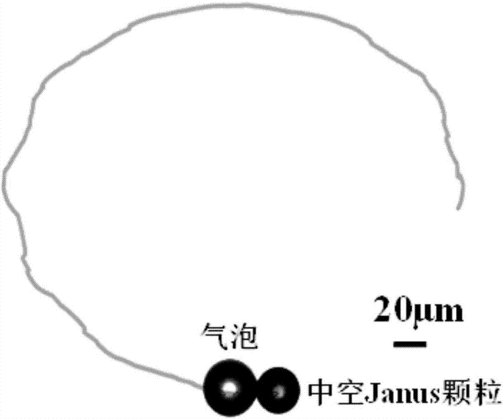 Preparation method for hollow Janus particles