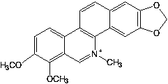 Anti-coronavirus macleaya cordata benzylisoquinoline alkaloid and resveratrol composition and application thereof