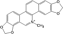 Anti-coronavirus macleaya cordata benzylisoquinoline alkaloid and resveratrol composition and application thereof