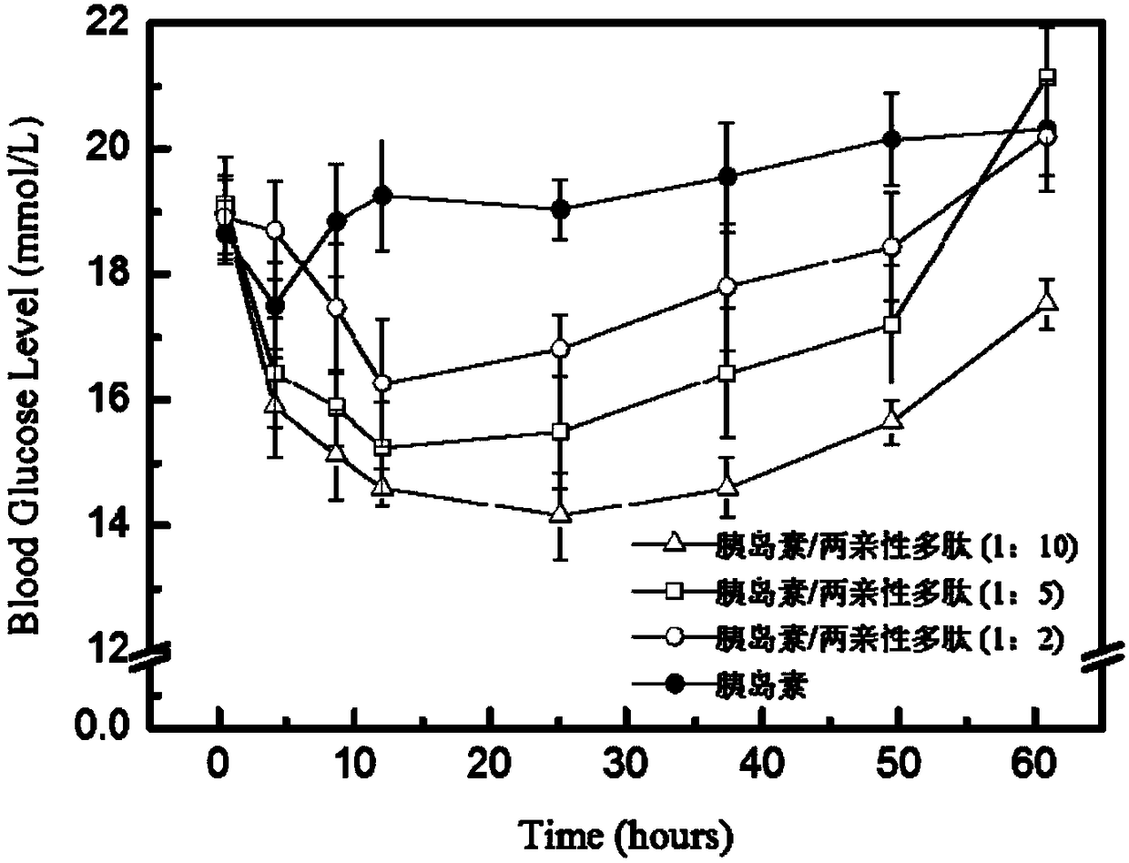 Drug carrier, drug preparation and preparation method