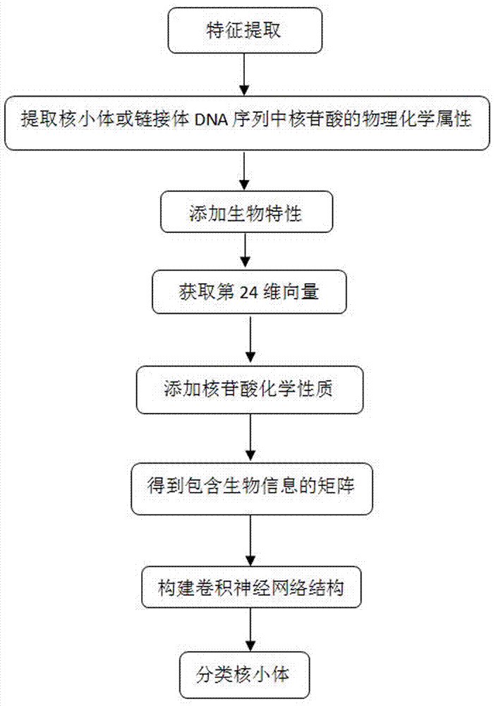 Nucleosome classification forecasting method based on convolutional neural network