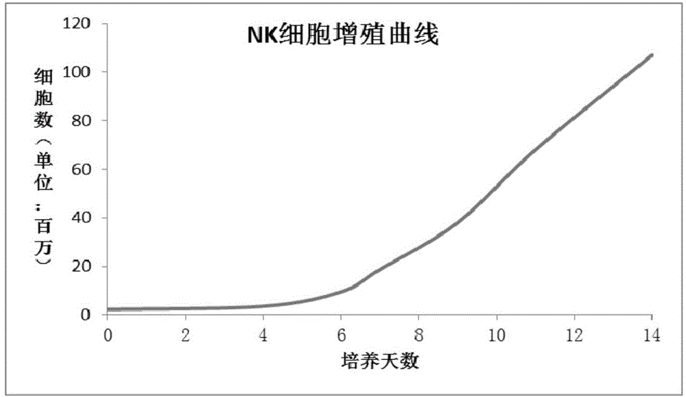 NK (natural killer) cell culture medium and culture method of NK cell