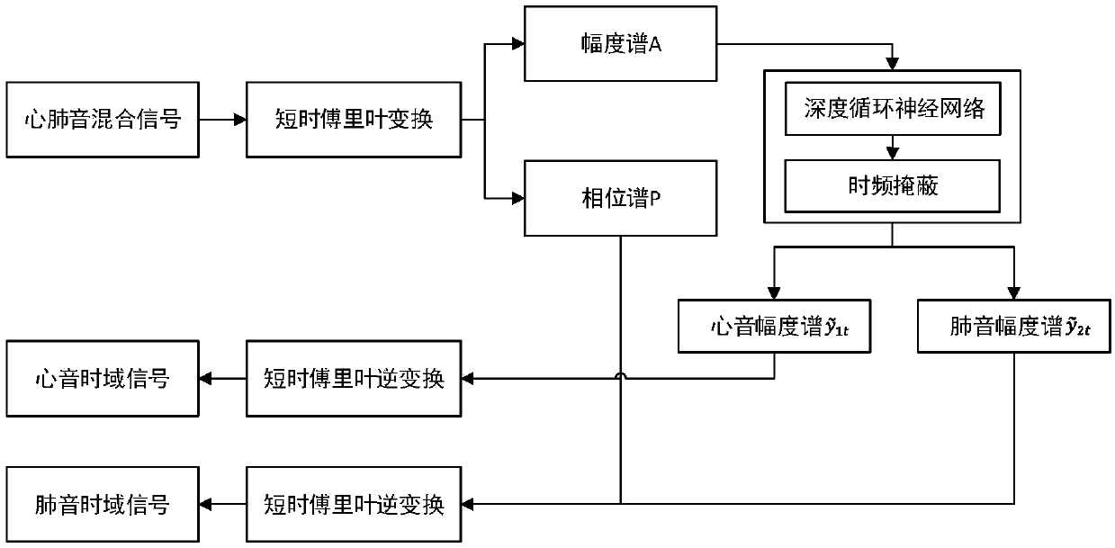 Bone-conduction digital auscultation system for automatic separation of heart and lung sounds