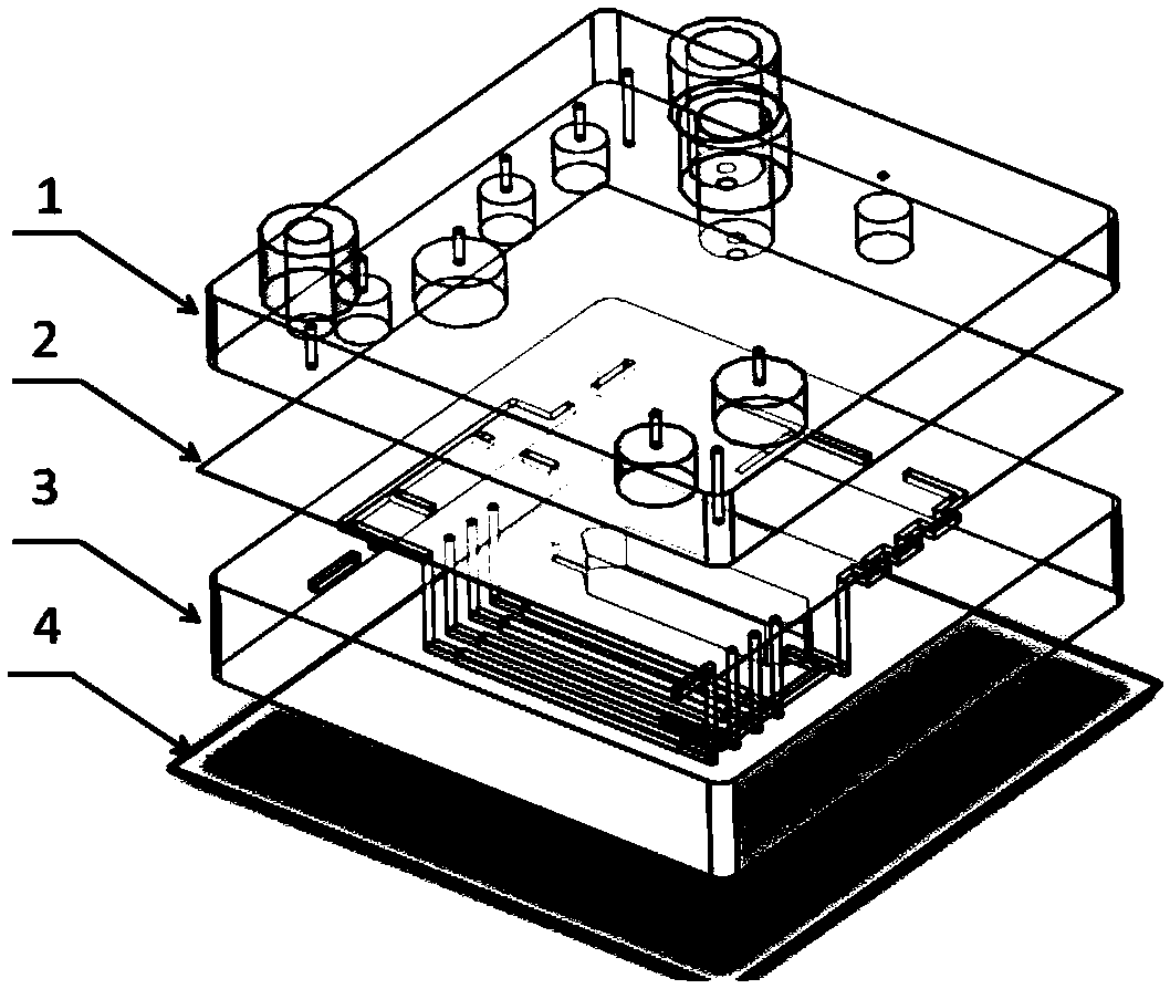 Nucleic acid detection microfluidic chip based on modified capillaries and nucleic acid detection system