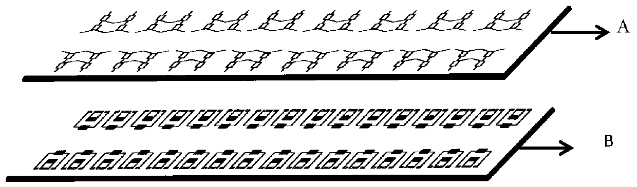 Multi-functional micro-fluidic chip and detection method for screening bacterial biofilm inhibitor