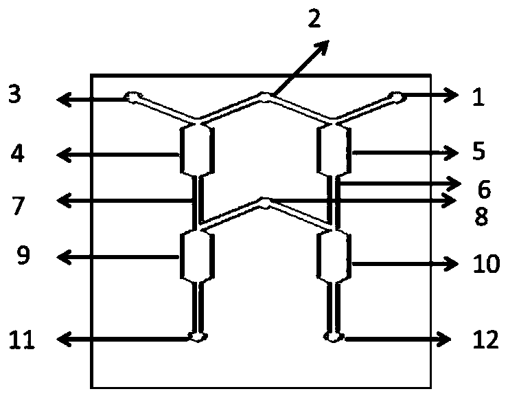 Multi-functional micro-fluidic chip and detection method for screening bacterial biofilm inhibitor