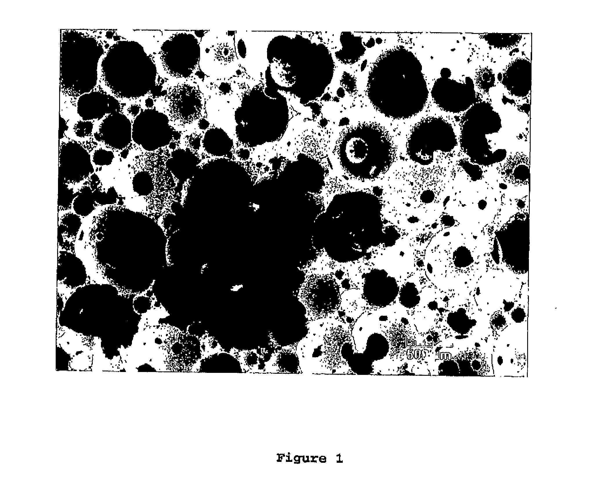 Sound-absorbing, resistant panels and process for making same