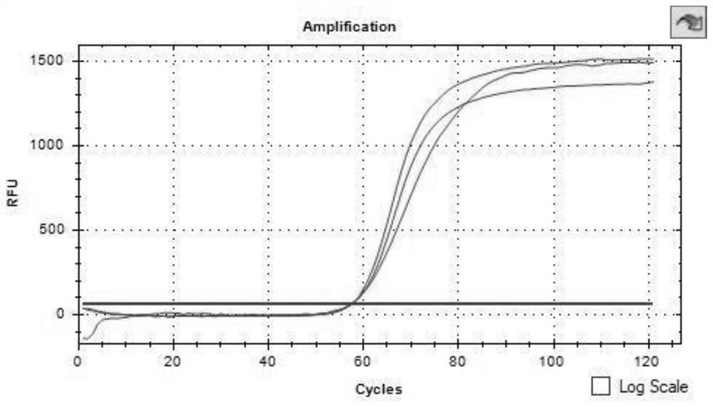 Freeze-dried microspheres of LAMP isothermal amplification reagent as well as preparation method and application of freeze-dried microspheres