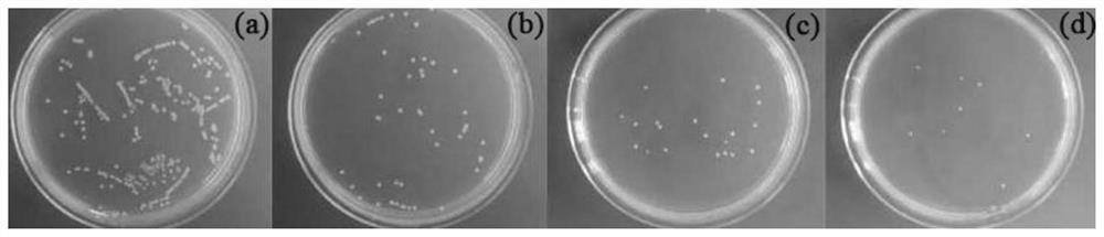 Preparation method of medical titanium alloy