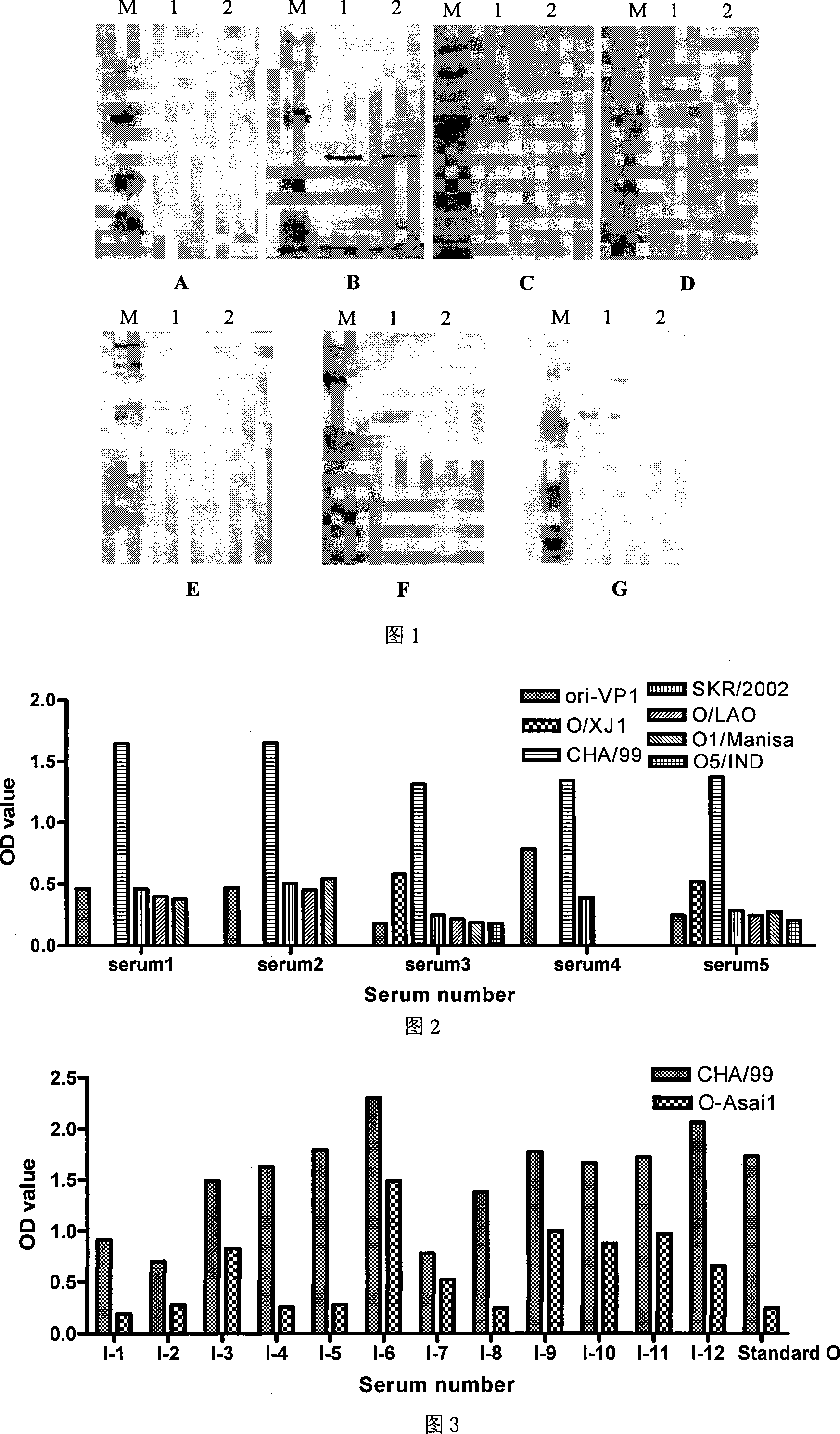 ELISA kit for identification of pig hoof-and-mouth disease immunity animal and taint animal