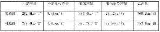 Wheat-corn interplanting method