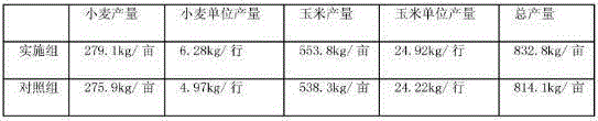 Wheat-corn interplanting method