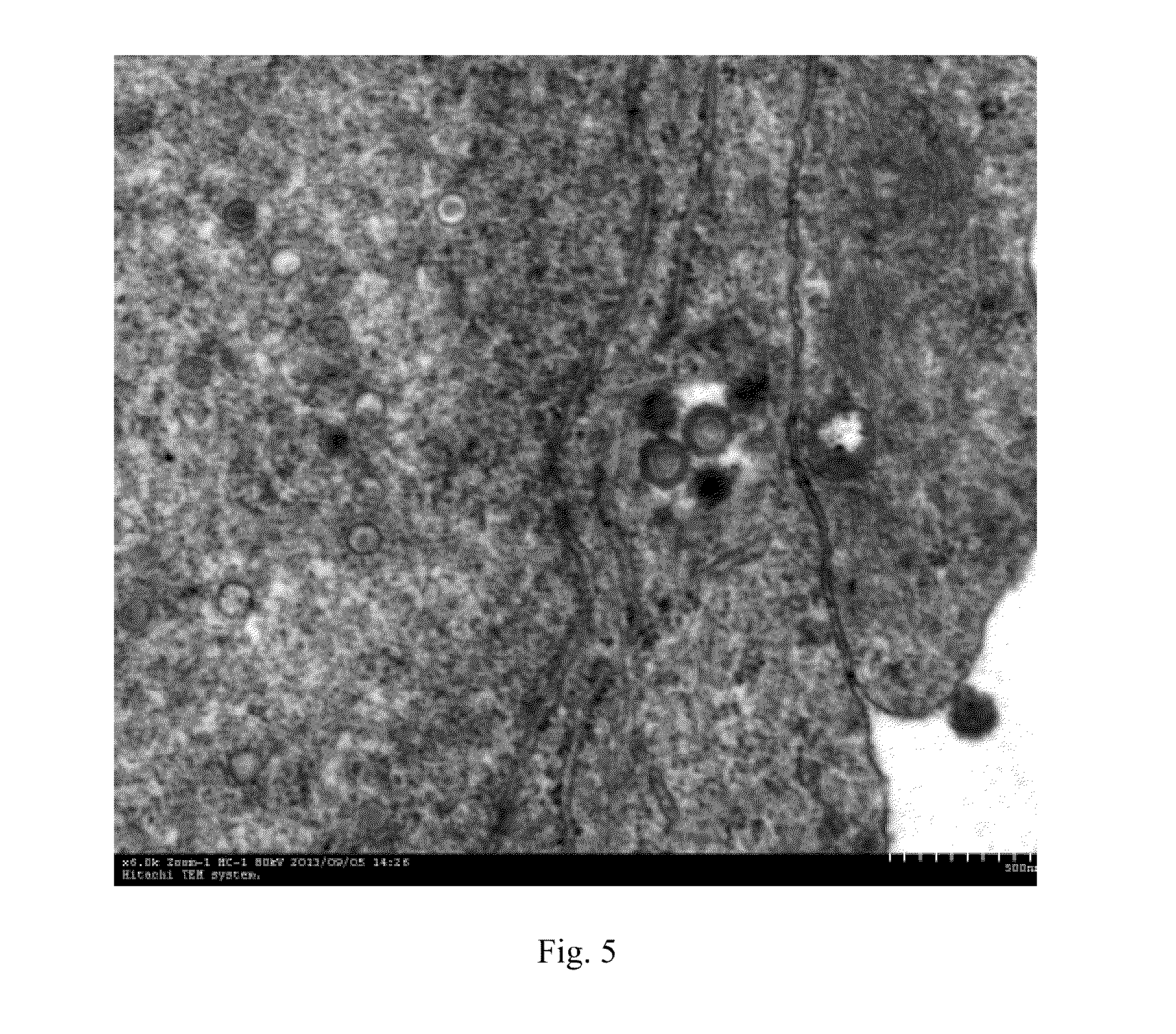 Cyprinid herpesvirus ii-sensitive brain tissue cell line of carassius auratus gibelio and establishing method and use thereof