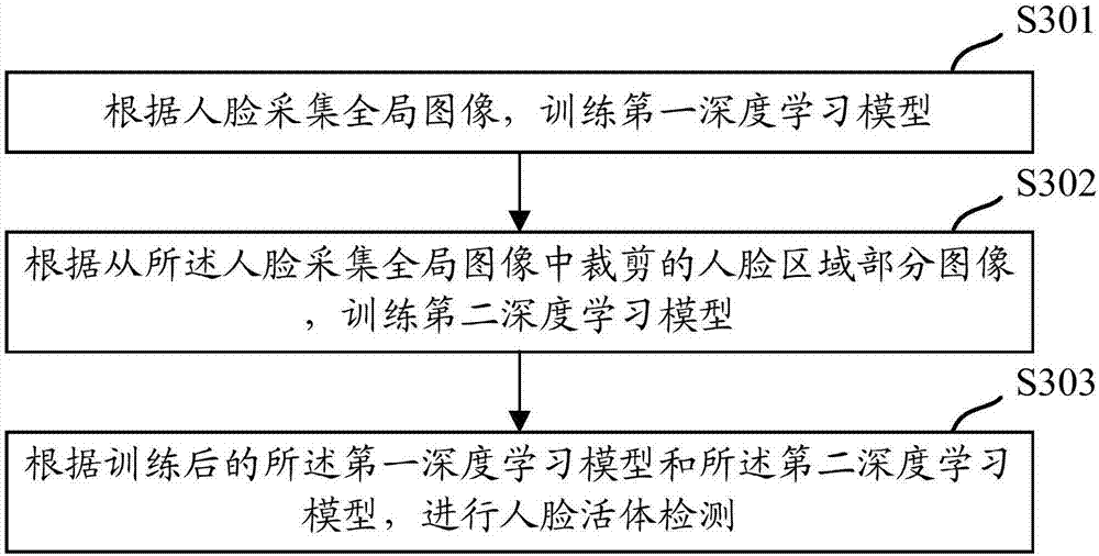 Human face living body detection method and apparatus and electronic device