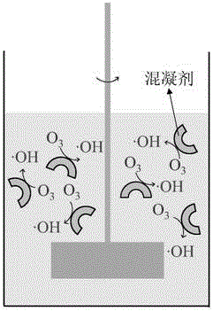 Ozone and coagulation mutual promotion synergistic method for enhancing organic matter removal efficiency