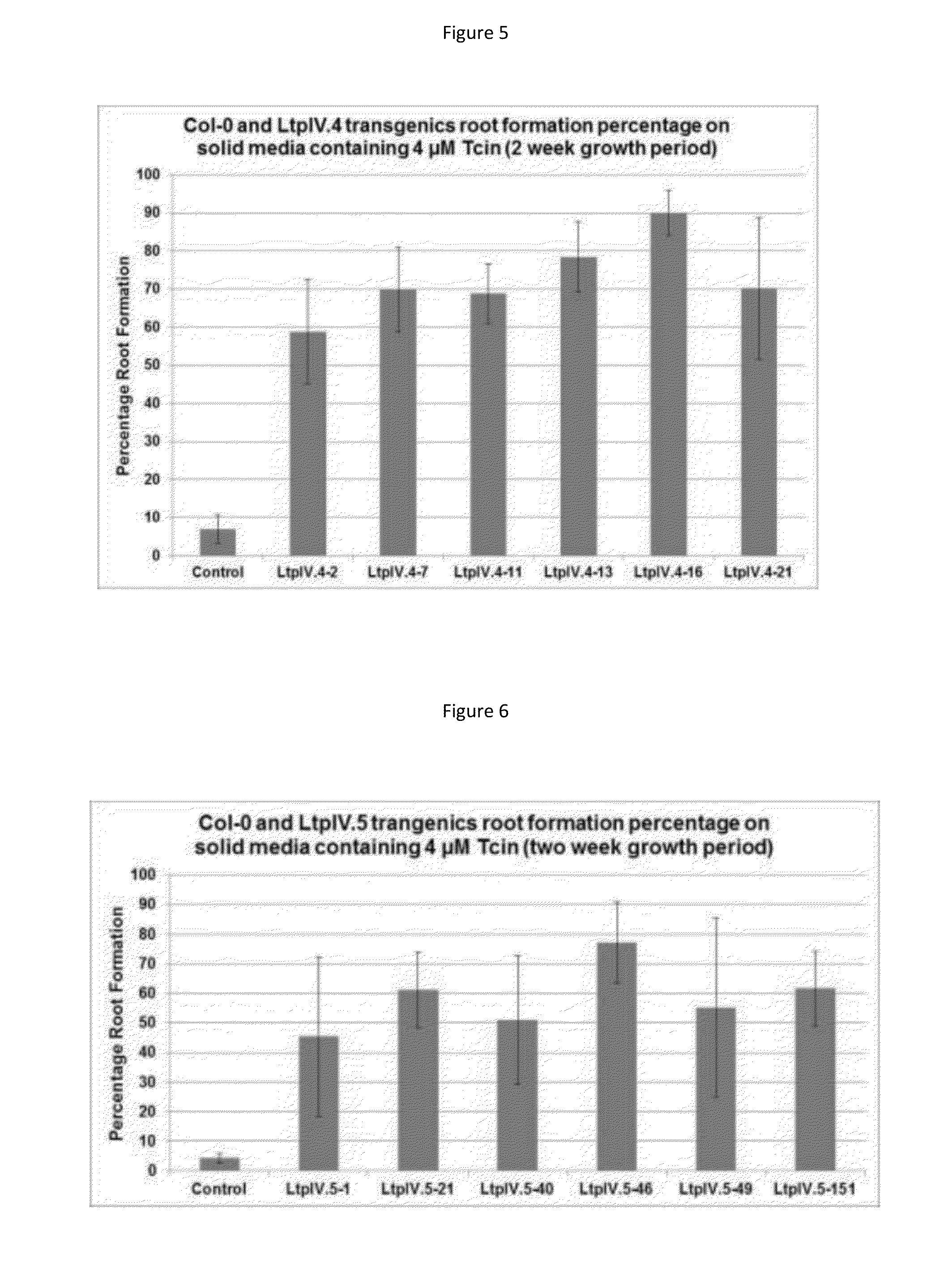 Plant genes that confer resistance to trichothecene mycotoxins and fusarium head blight