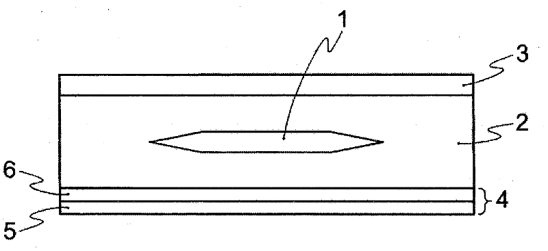 Solar cell module and back sheet therefor