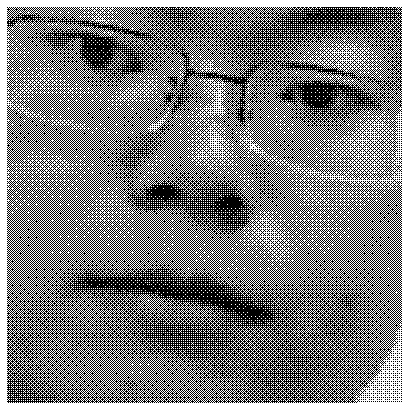 Method, device and system for correcting face image