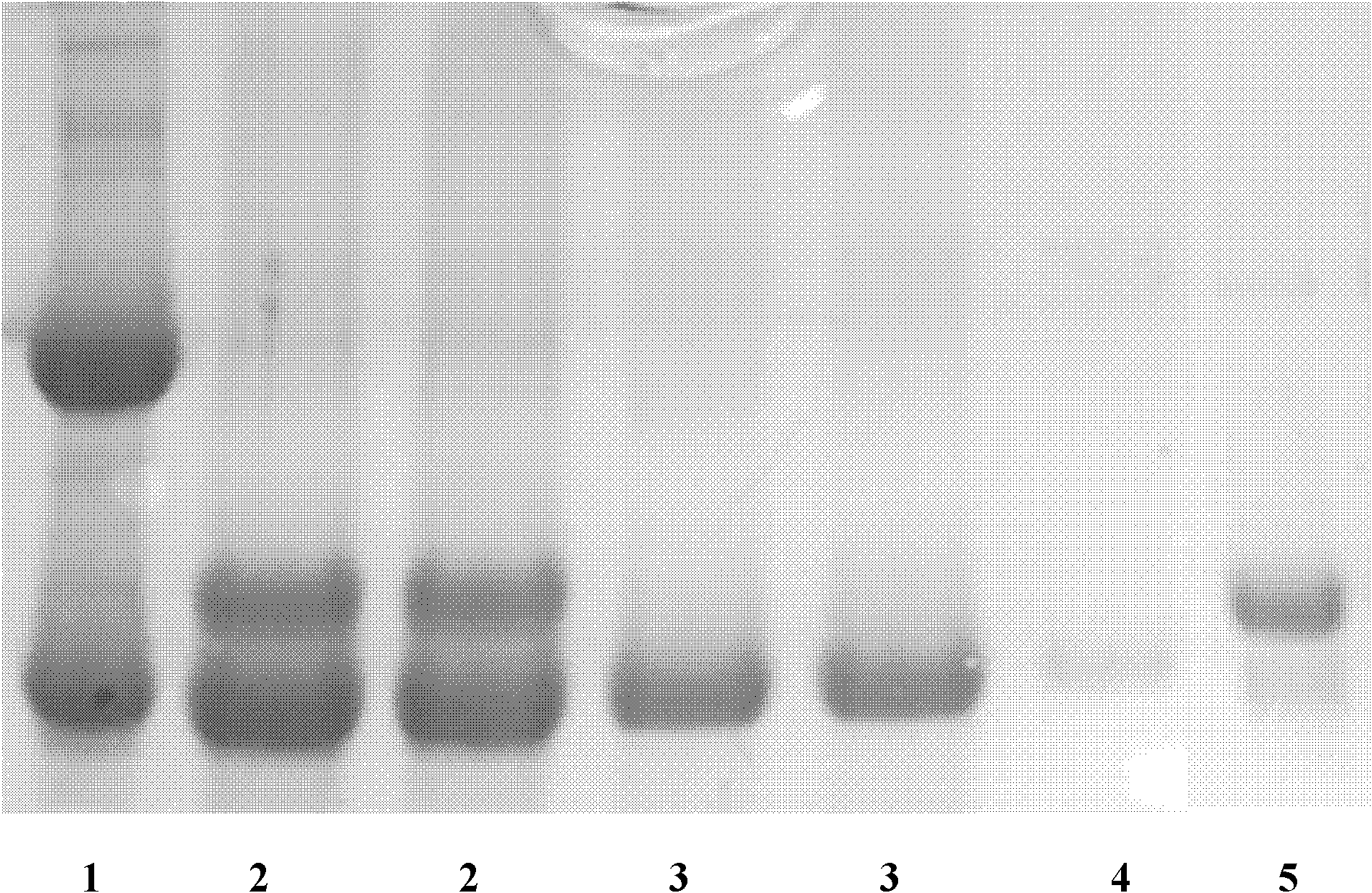 Separation and purification method of recombinant proteins A