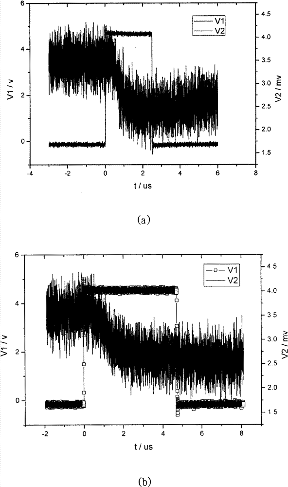 Detection device and detection method for dynamics process of structure change of micro region of material