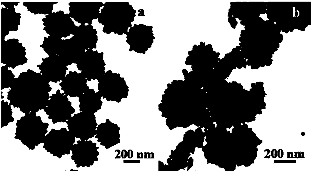 Composite nanoparticle photocatalyst with Au-TiO2 thorny heterostructure and preparation method thereof