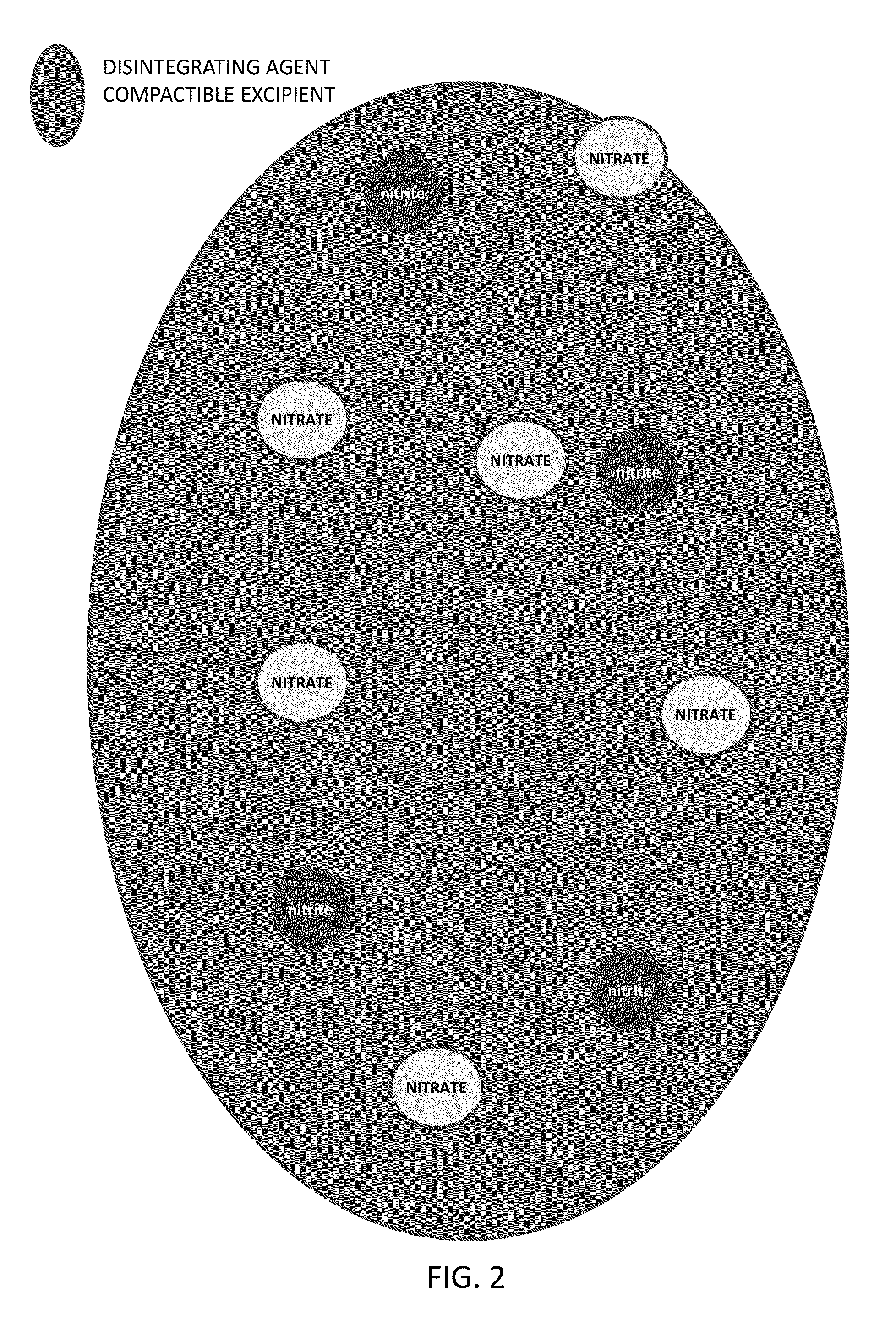 Method of Producing Physiological and Therapeutic Levels of Nitric Oxide Through an Oral Delivery System