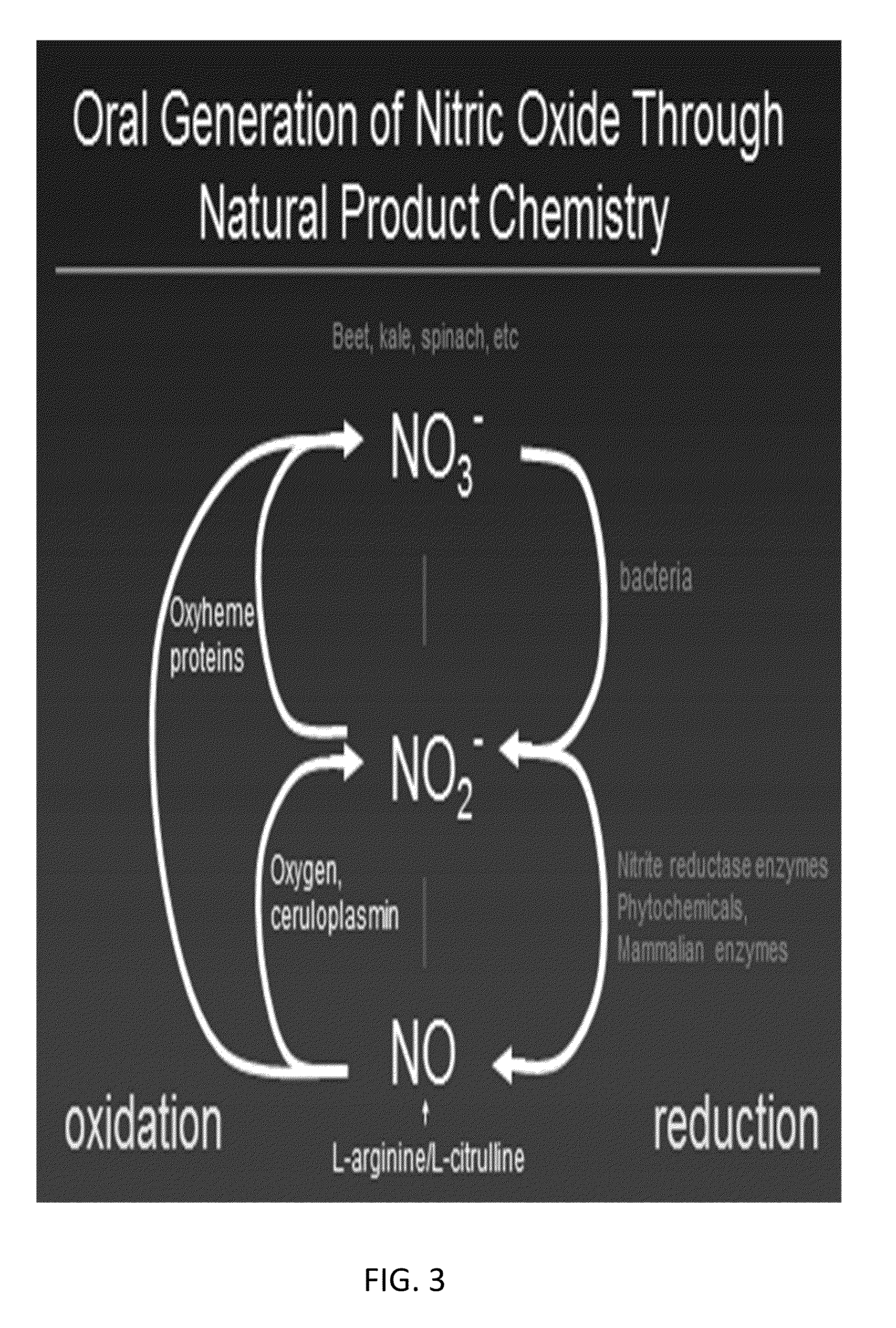 Method of Producing Physiological and Therapeutic Levels of Nitric Oxide Through an Oral Delivery System