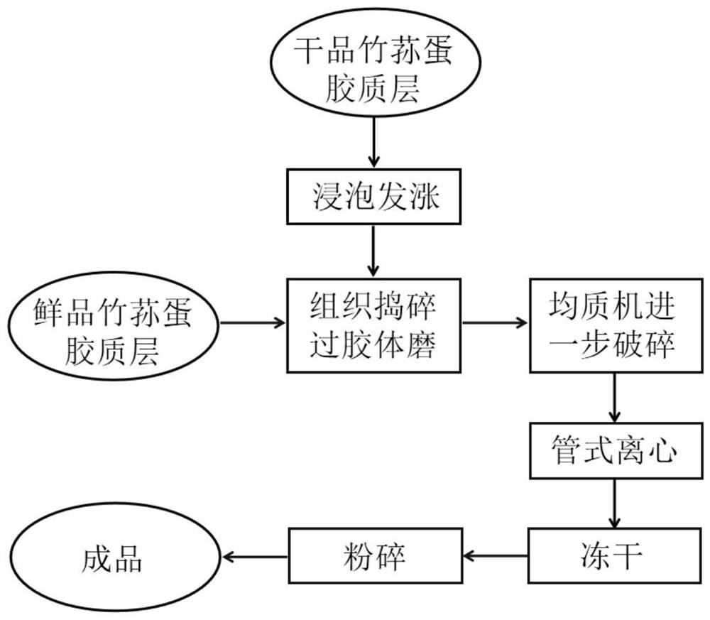 Bamboo fungus gel as well as preparation method and application thereof