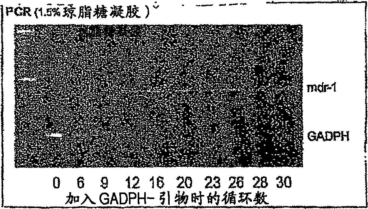 Method of inhibiting the expression of a multi-drug resistance genes and inhibiting the production of proteins resulting from the expression of such genes thereby enhancing the effectiveness of chemot