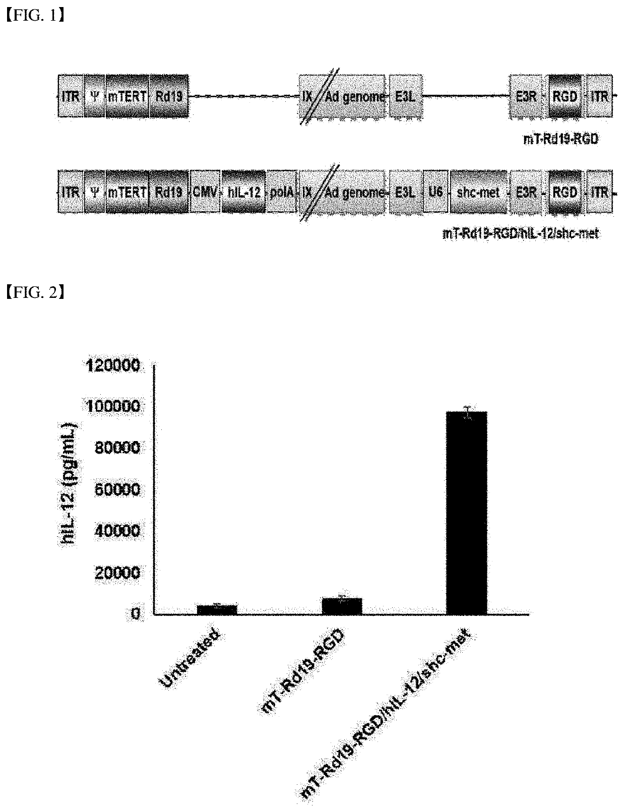 Anti-tumor composition