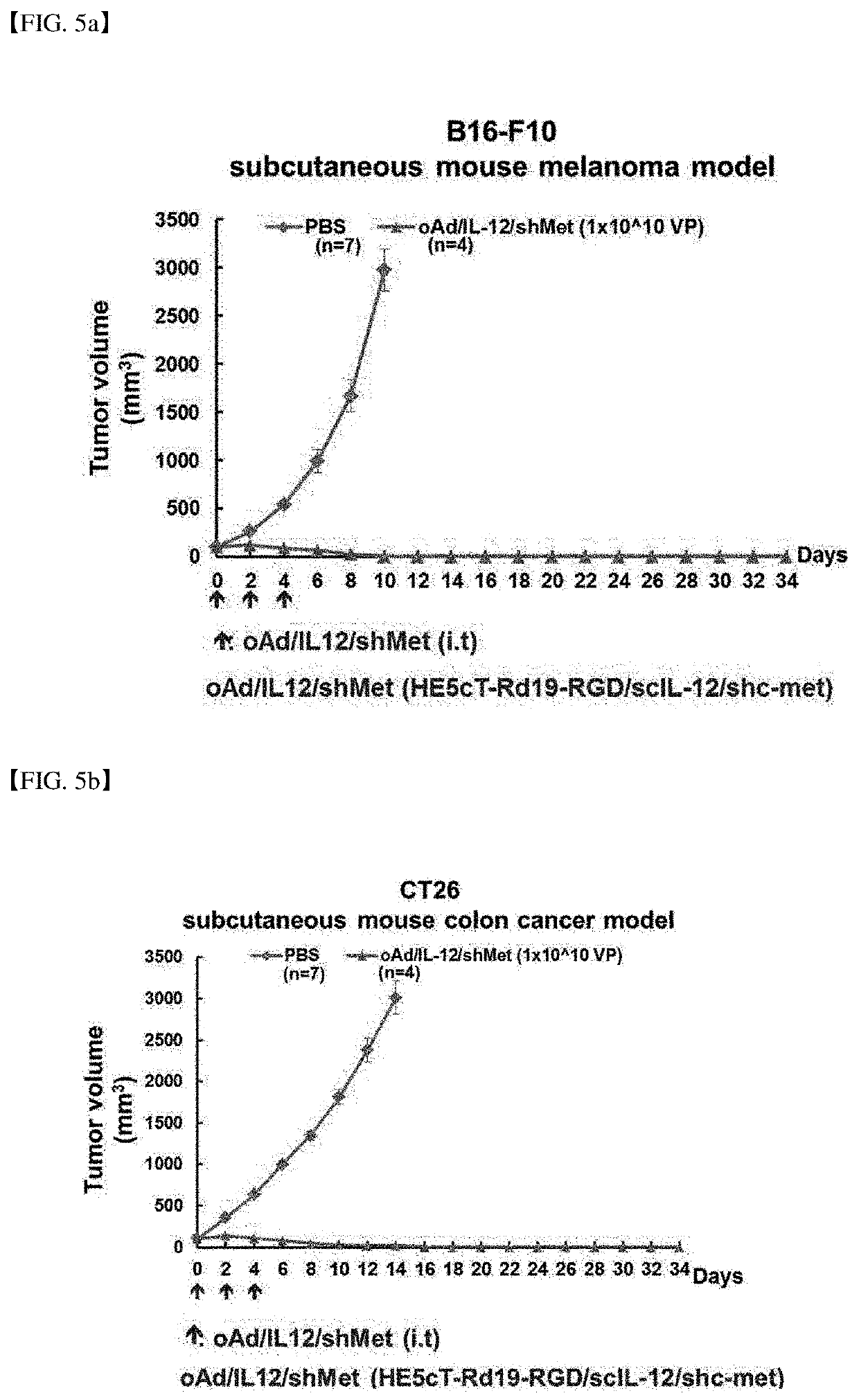 Anti-tumor composition