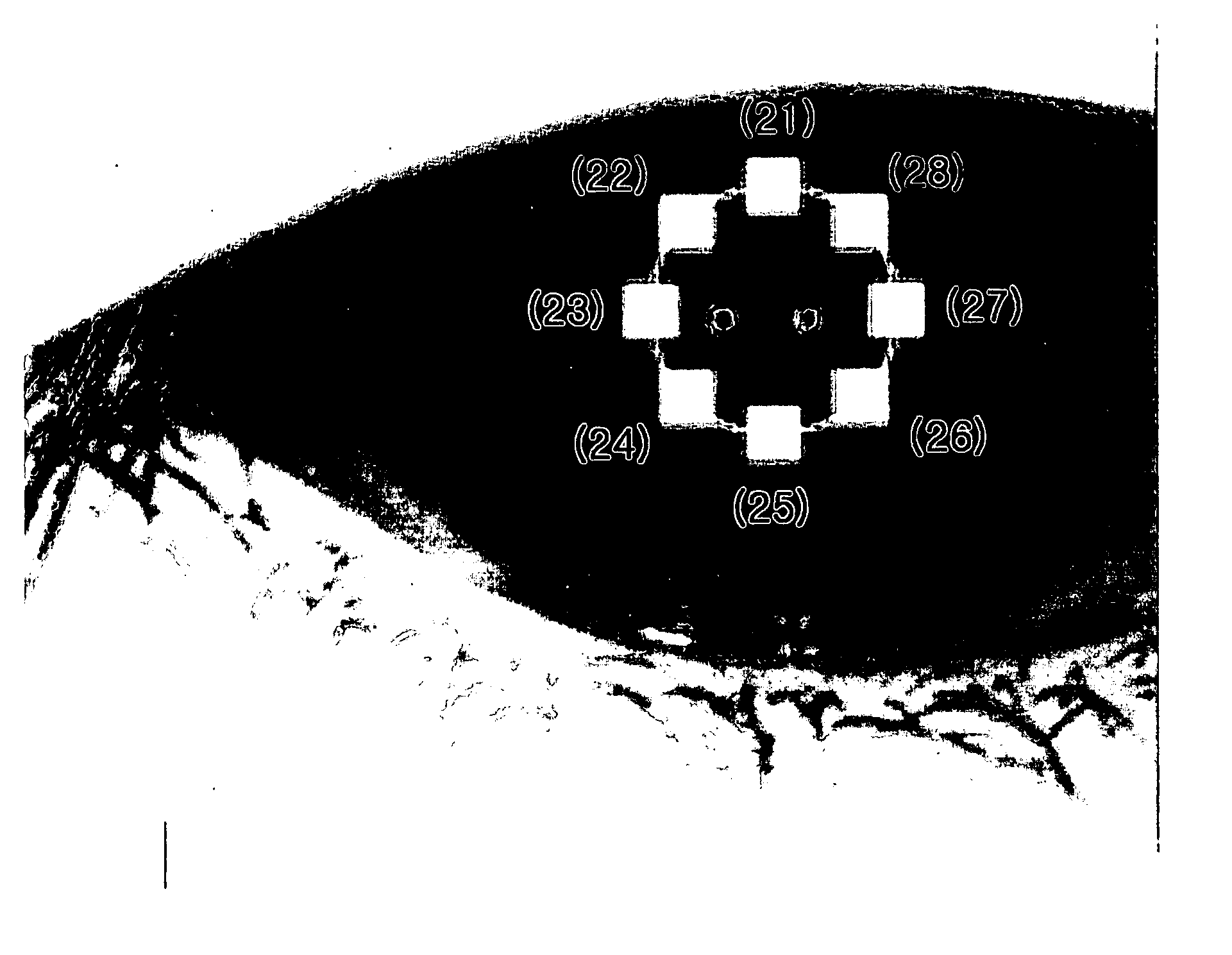 Iris recognition method and apparatus thereof