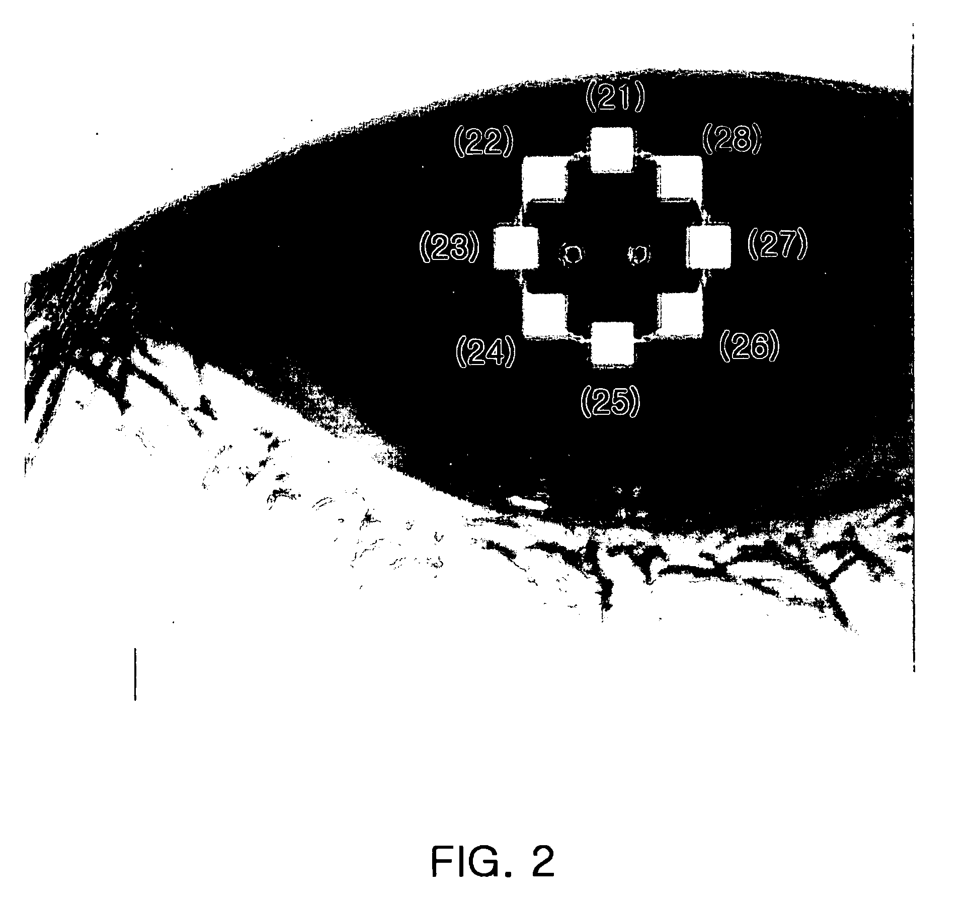 Iris recognition method and apparatus thereof