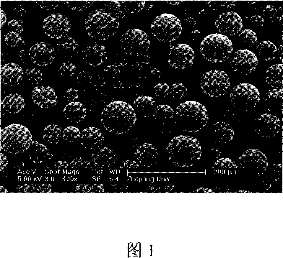 Method for producing compound frame of injection type polyester micro-carrier and fibrin gel