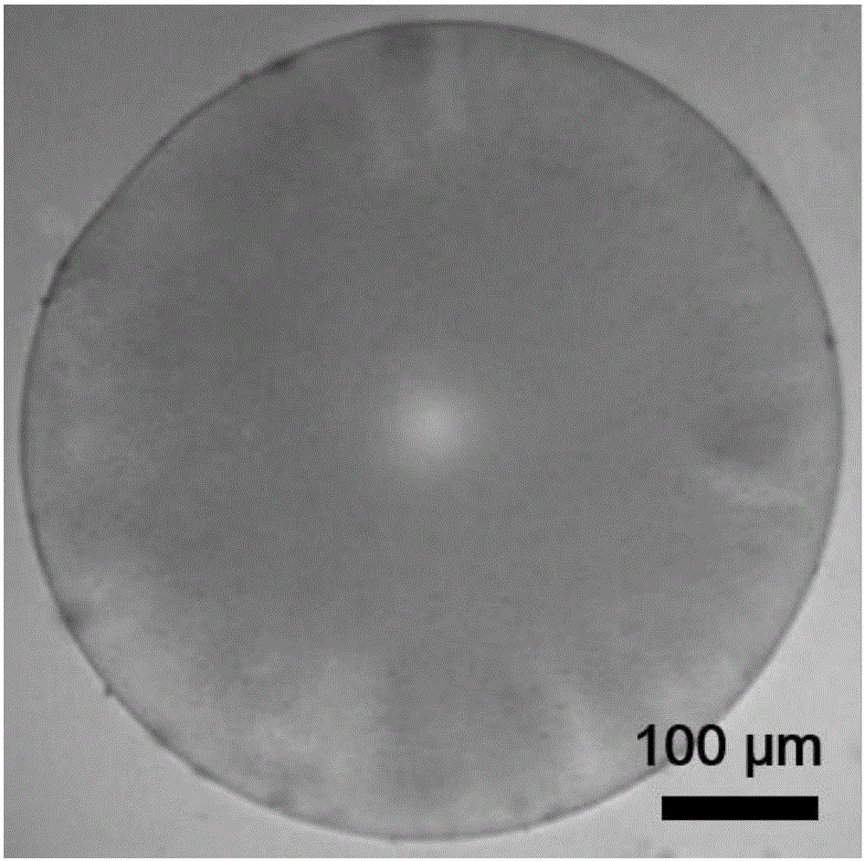 Hydrogel photonic crystal microspheres, and preparation method and application thereof