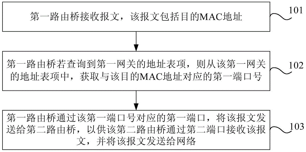 Method and device for processing data packets based on trill network