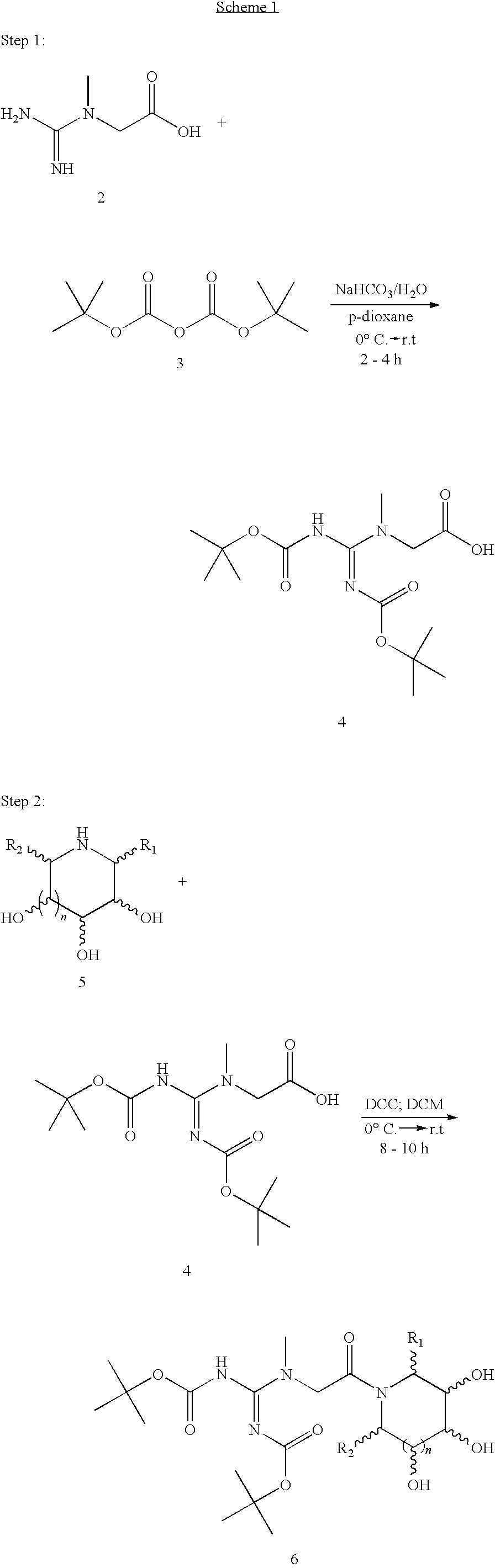 Preparations containing creatine and imino sugars