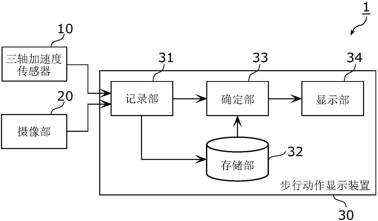 Walking motion display system and program