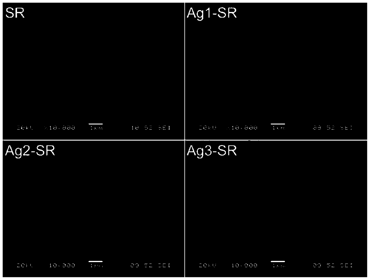 Antibacterial Modification Method of Silicone Rubber